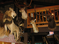 Safari Club Lounge in Thermopolis, Wyoming